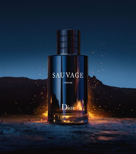 sauvage dior características|fragrances like Dior Sauvage.